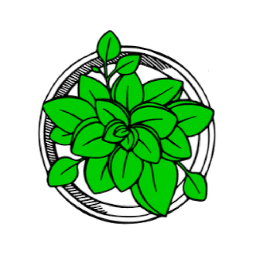 succulent vector icon